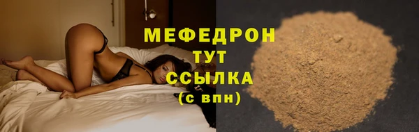 шишки Медвежьегорск