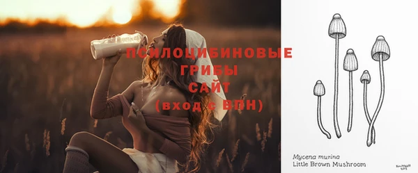 mdpv Мегион