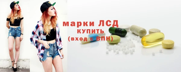 шишки Медвежьегорск