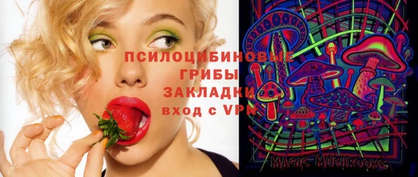шишки Медвежьегорск