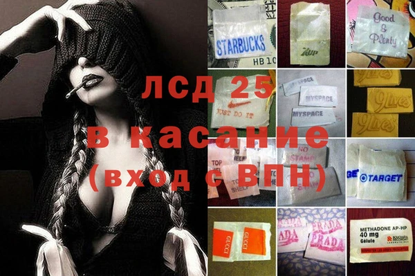 шишки Медвежьегорск