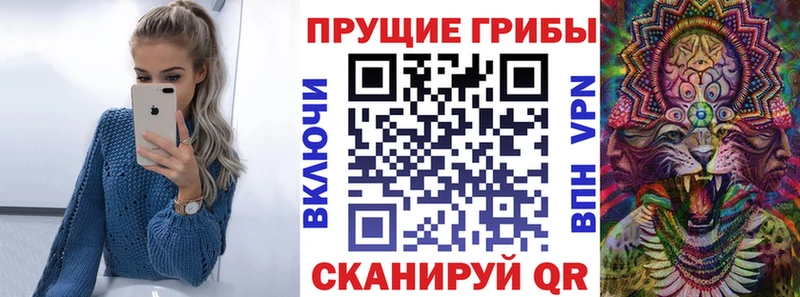 продажа наркотиков мега вход Галлюциногенные грибы MAGIC MUSHROOMS Малая Вишера
